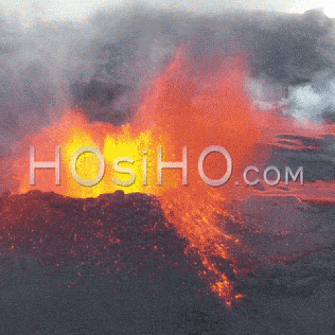 Pour son 5ème anniversaire, HOsiHO lance une plateforme 2.0 !