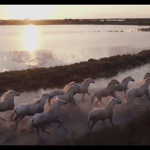 Showreel 2018 par Drone-Pictures !